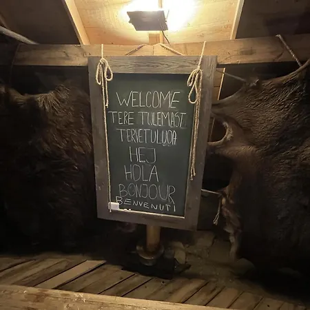 Juurikkalahti Adventure Center 公寓 卡亚尼