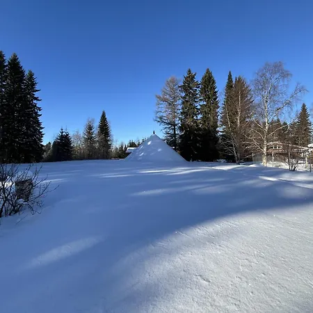 Juurikkalahti Adventure Center 公寓 卡亚尼