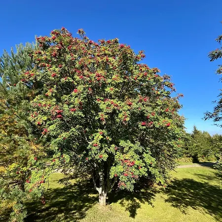 Juurikkalahti Adventure Center * 卡亚尼