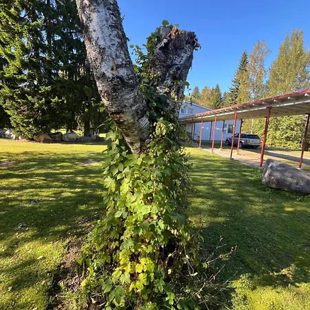 Juurikkalahti Adventure Center * Kajaani