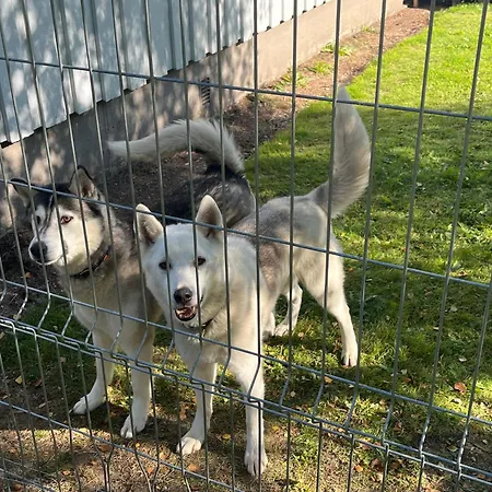 Juurikkalahti Adventure Center Appartement *