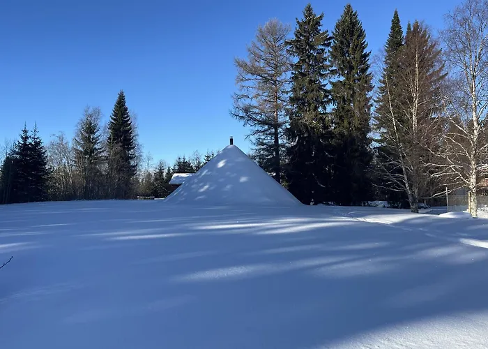 Juurikkalahti Adventure Center *