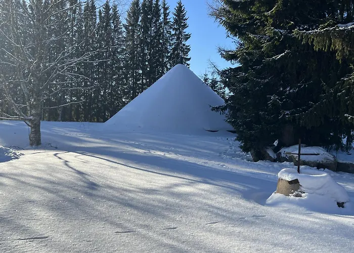 Juurikkalahti Adventure Center