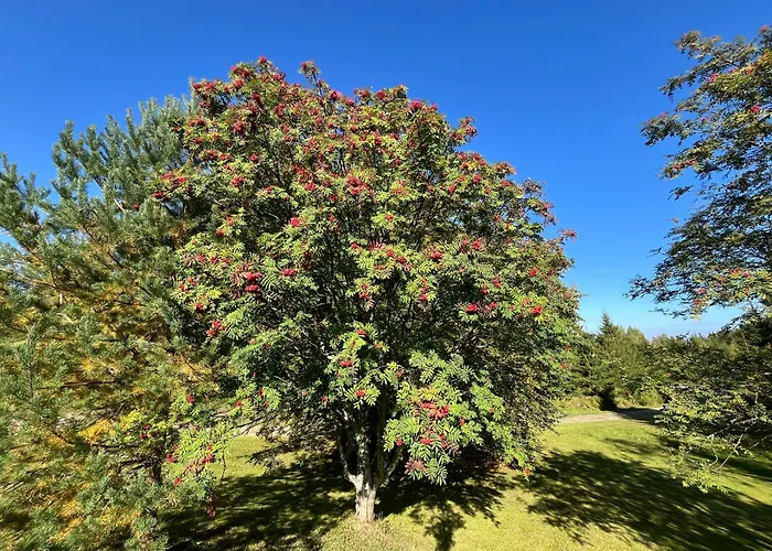 Juurikkalahti Adventure Center * Kajaani