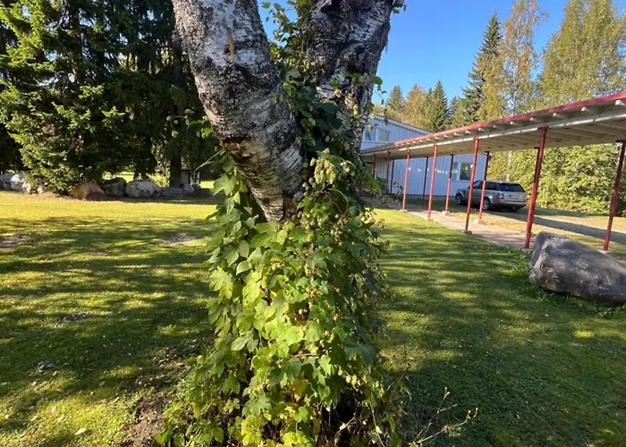 Juurikkalahti Adventure Center * Kajaani