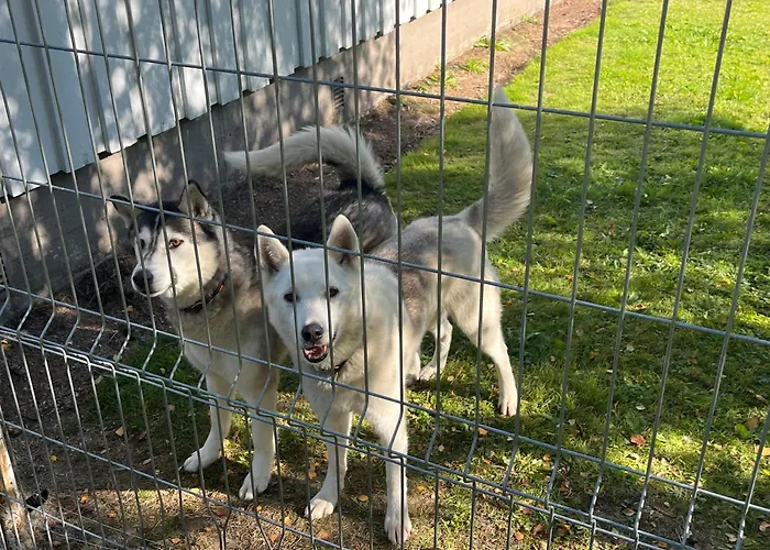 Juurikkalahti Adventure Center Appartement *